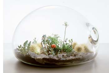 What Do We Mean by Self-Sustaining?